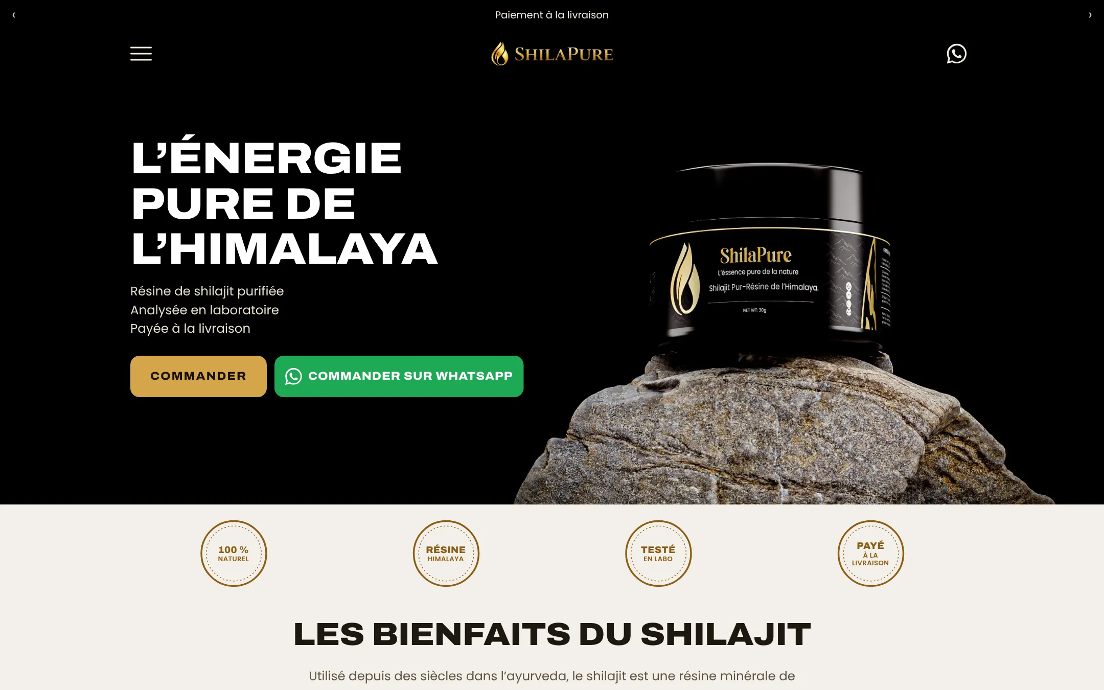 Page d’accueil du site SHILAPURE sur ordinateur
